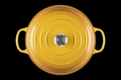 Cast Iron Shallow Casserole