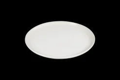 Stoneware Coupe Dinner Plate