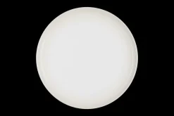 Stoneware Coupe Dinner Plate