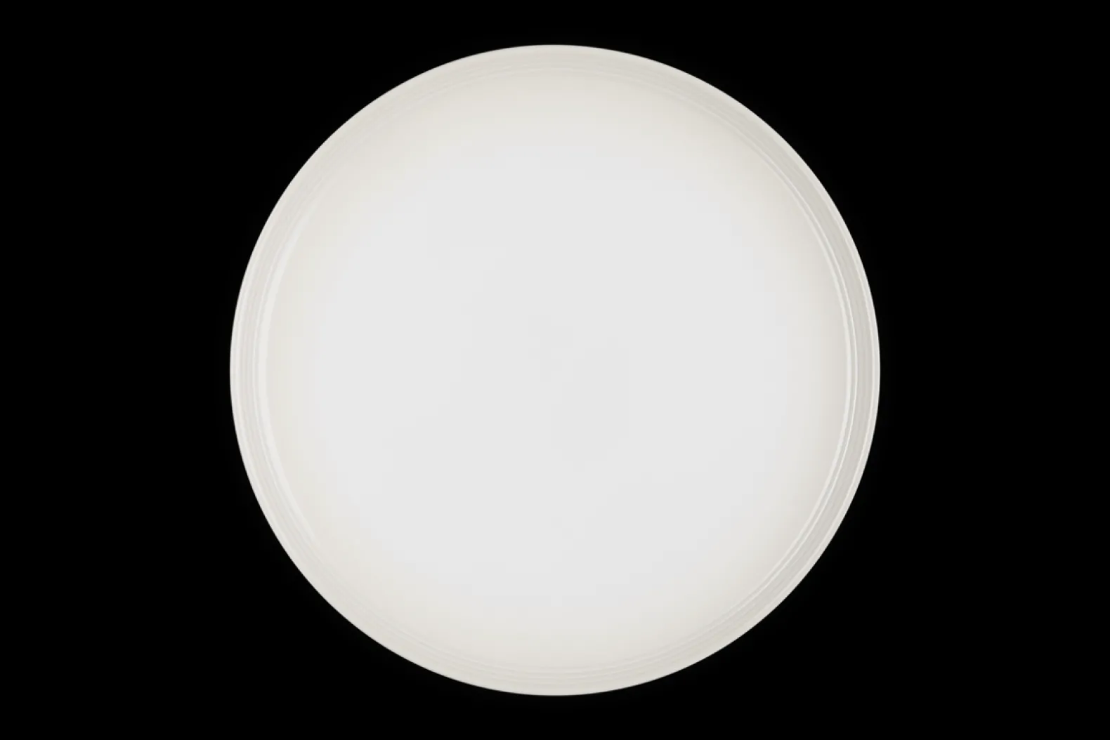 Stoneware Coupe Dinner Plate