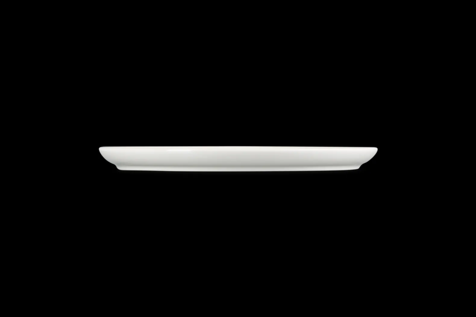 Stoneware Coupe Dinner Plate