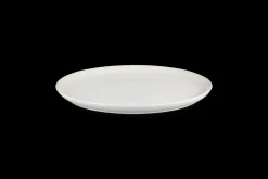 Stoneware Coupe Dinner Plate