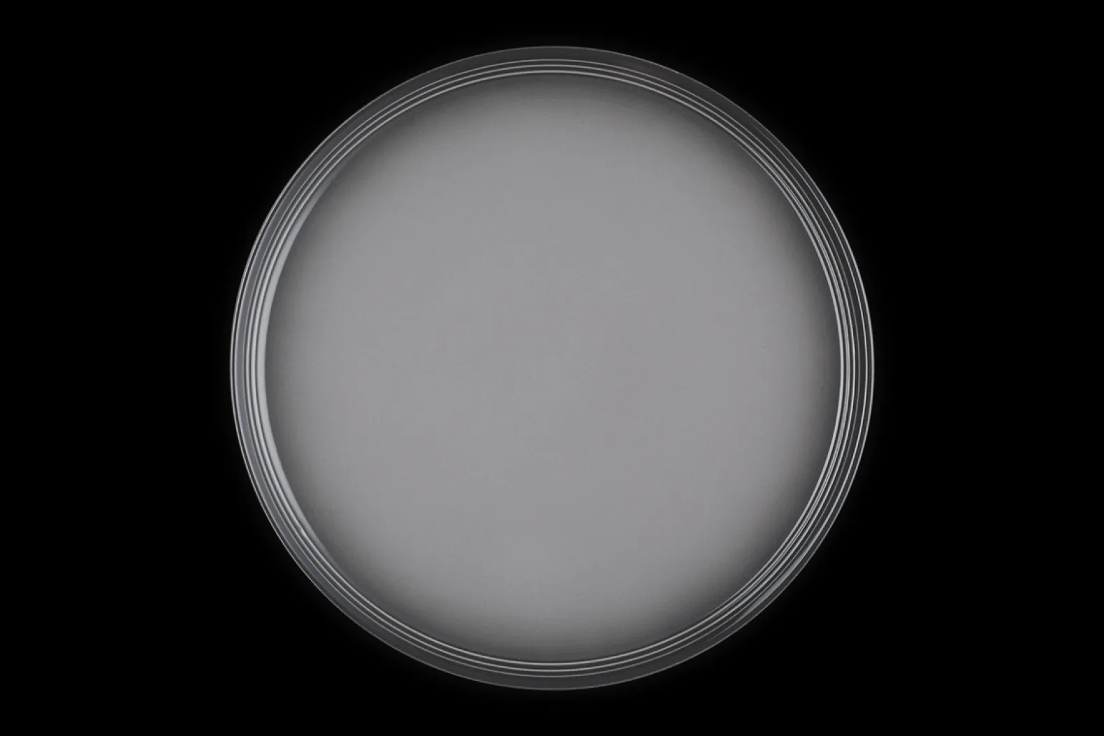 Stoneware Coupe Dinner Plate