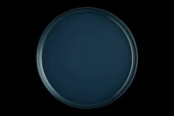 Stoneware Coupe Dinner Plate