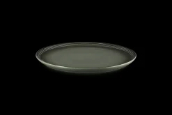Stoneware Coupe Dinner Plate