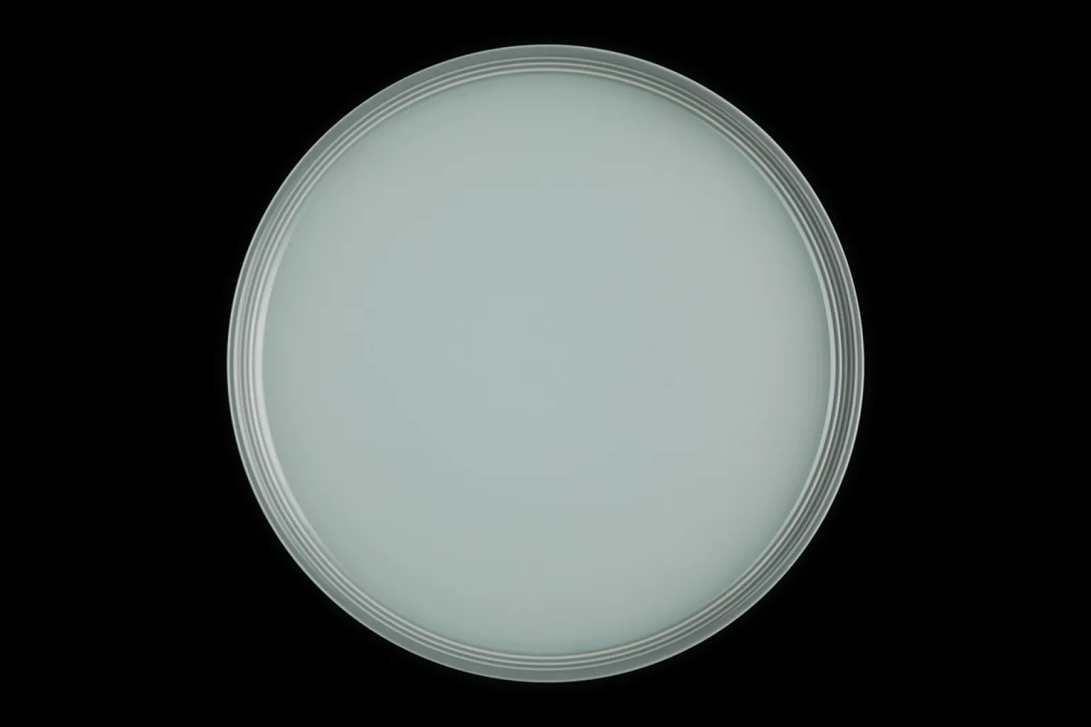 Stoneware Coupe Dinner Plate