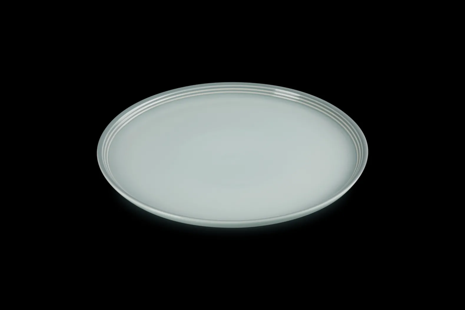 Stoneware Coupe Dinner Plate