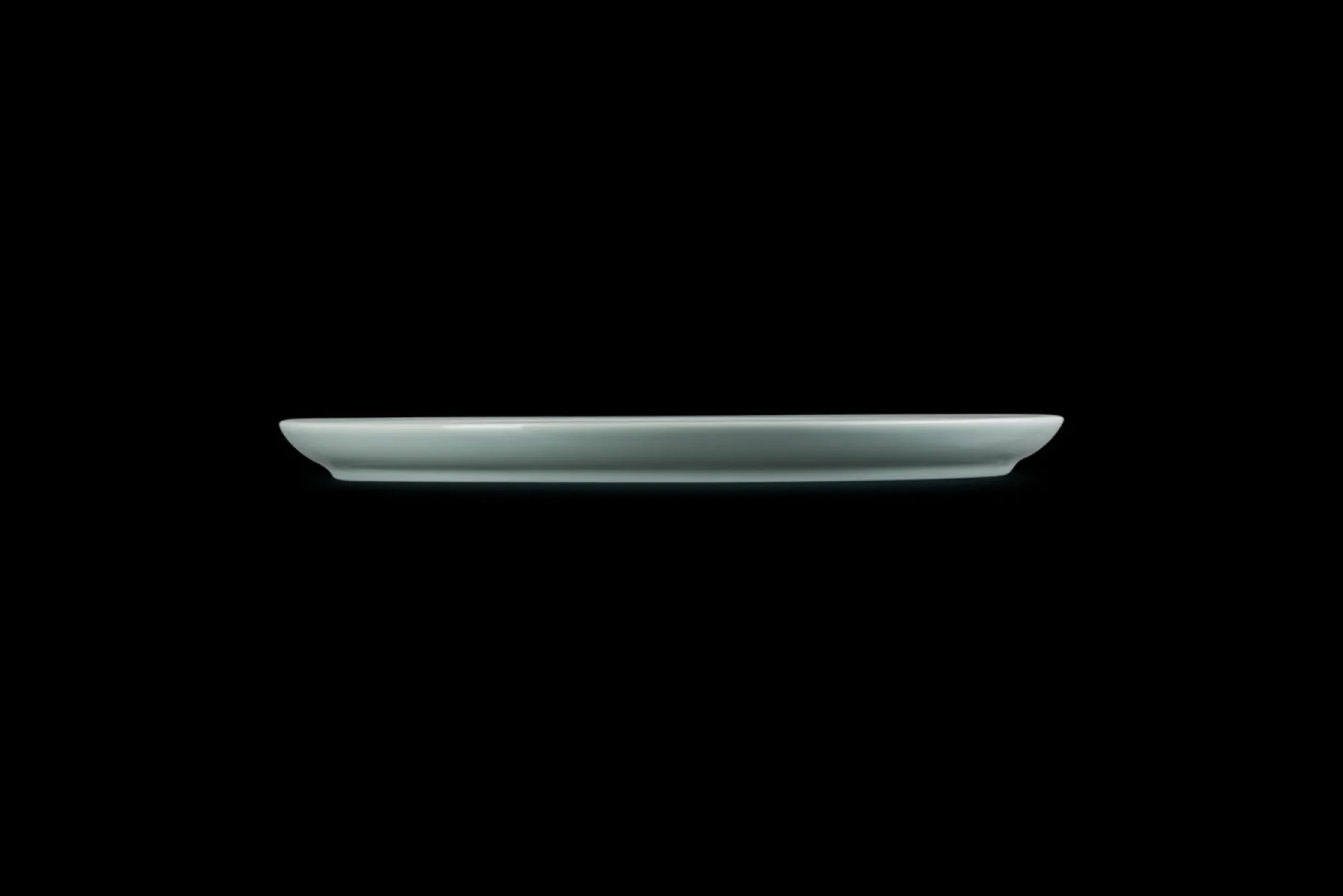 Stoneware Coupe Dinner Plate