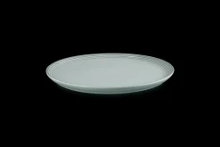 Stoneware Coupe Dinner Plate