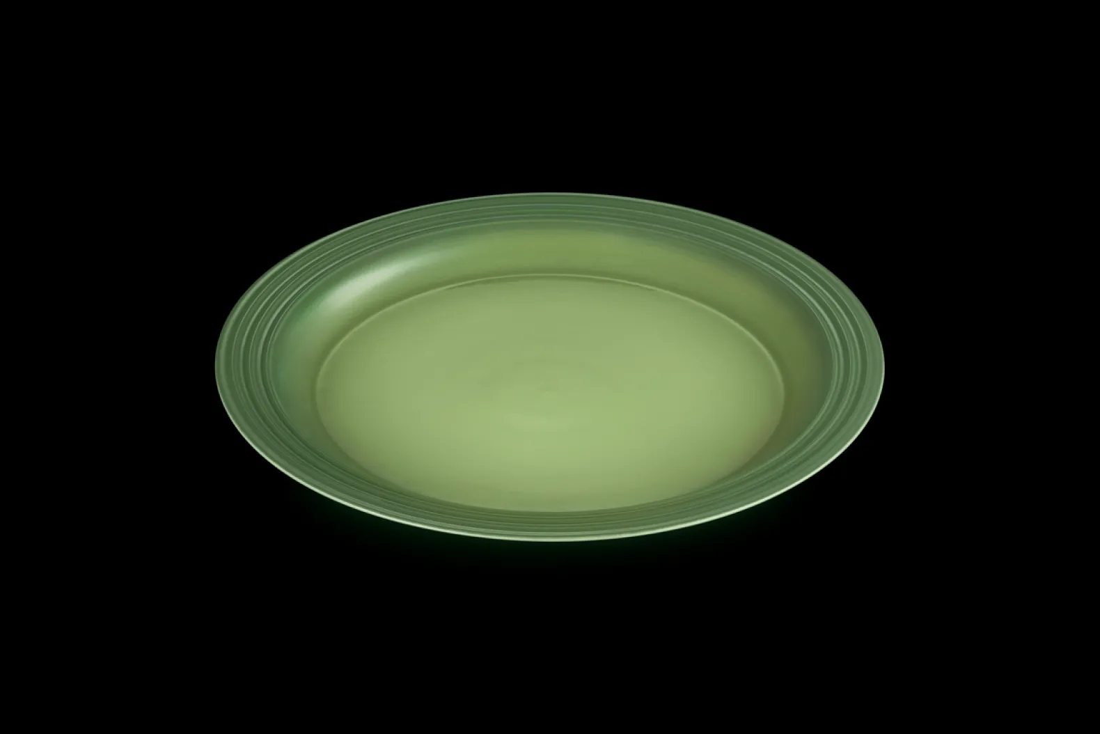 Stoneware Dinner Plate