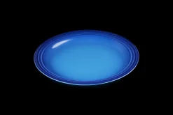 Stoneware Dinner Plate