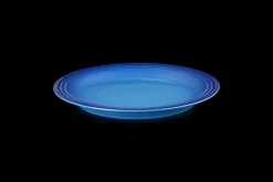 Stoneware Dinner Plate